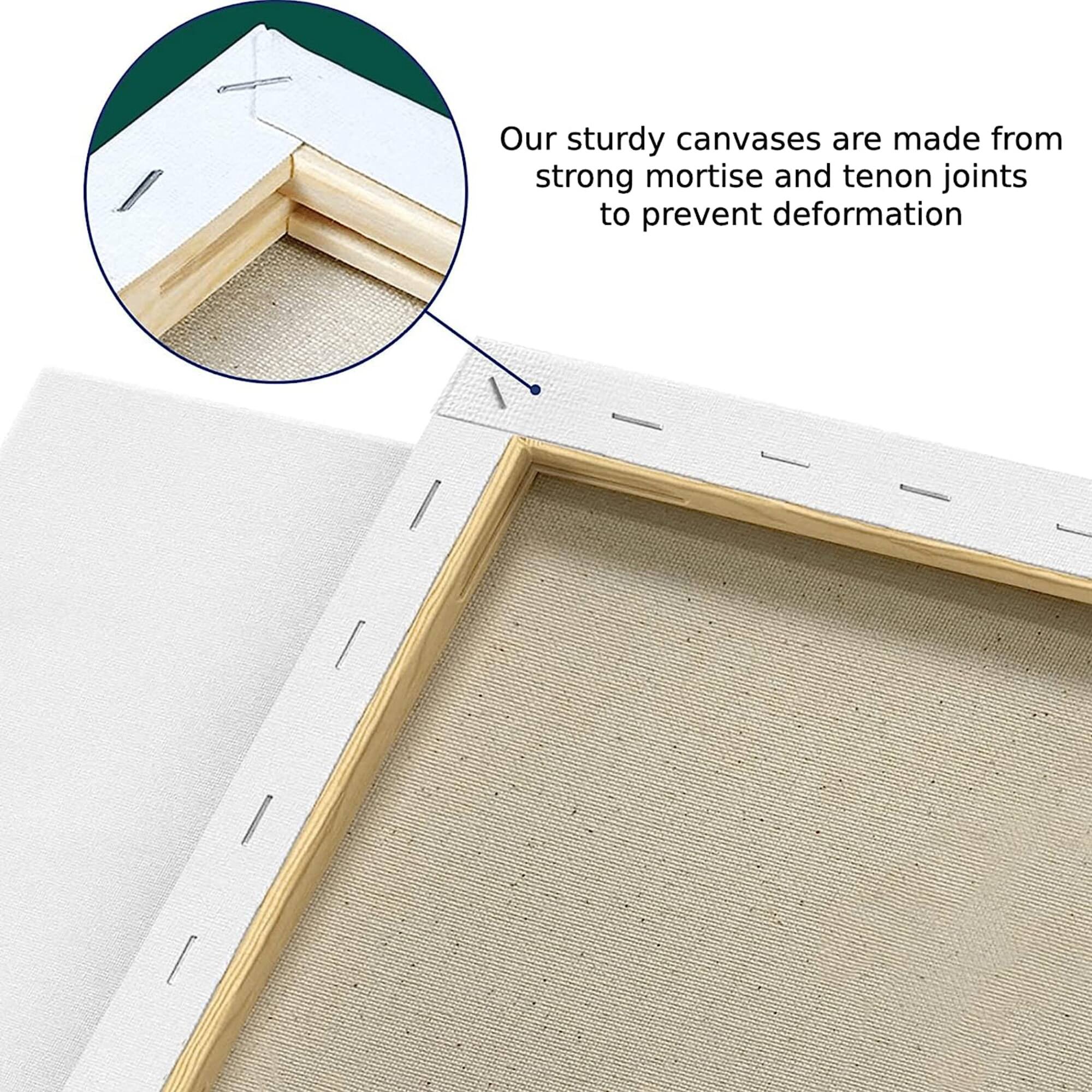 ArtSkills® Pack 11" x 14" Stretched Painting Canvas